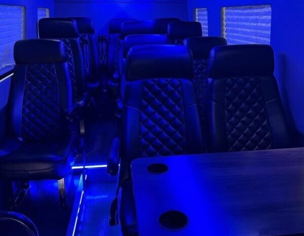 VAN 11 OR 14 PASSENGER
